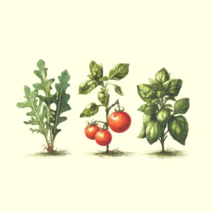 Arugala Tomato Basil Diffuser Set