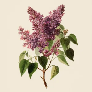 Lilacia Park Wax Melts