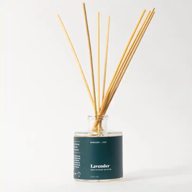 Watermelon Diffuser Set - Image 3