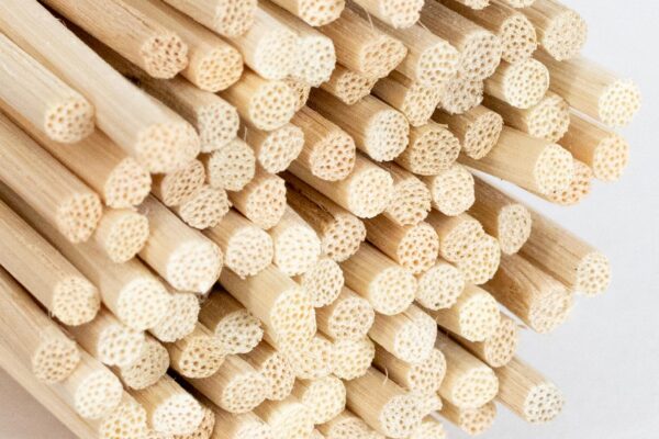 Bundle of natural rattan reed diffuser sticks, showing porous ends for optimal fragrance diffusion.